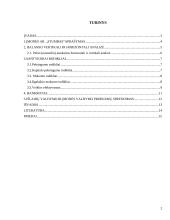 Finansinė analizė: AB "Stumbras" 2 puslapis