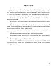 Finansinė analizė: AB "Stumbras" 11 puslapis