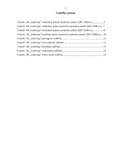 Finansinė analizė: alaus darykla AB "Gubernija" 2 puslapis