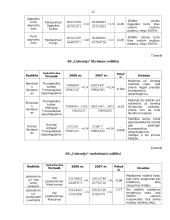 Finansinė analizė: alaus darykla AB "Gubernija" 12 puslapis