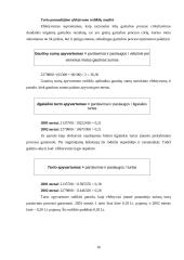 Finansinė analizė: Lietuvos jūrų muziejus 13 puslapis