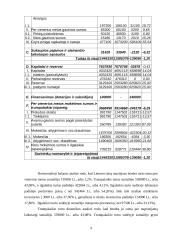 Finansinė analizė: Lietuvos jūrų muziejus 6 puslapis