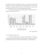 Finansinė analizė: Lietuvos jūrų muziejus 8 puslapis
