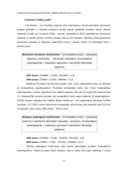 Finansinė analizė: Lietuvos jūrų muziejus 10 puslapis