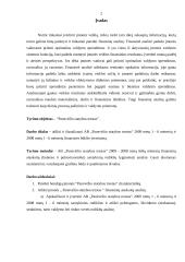 Finansinės būklės įvertinimas: AB "Panevėžio statybos trestas" 2 puslapis