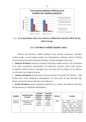 Finansinės būklės įvertinimas: AB "Panevėžio statybos trestas" 12 puslapis
