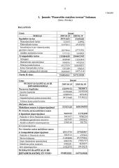 Finansinės būklės įvertinimas: AB "Panevėžio statybos trestas" 6 puslapis