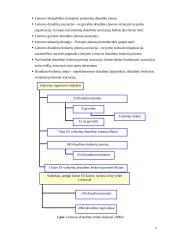 Finansinės rinkos ir institucijos: draudimas UADB "ERGO Lietuva" 5 puslapis