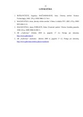 Finansinės rizikos anlizė: AB "Gubernija" 12 puslapis