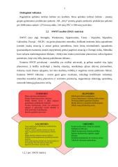 Finansinės veiklos analizė: vyno gamykla AB "Alita" 6 puslapis