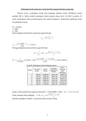 Finansinių sprendimų pradmenys 2 puslapis