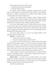 Fiskalinės politikos reguliavimo svertai 4 puslapis