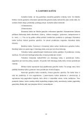 Gamyba ir jos veiksniai 13 puslapis