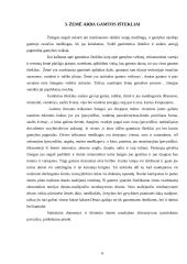 Gamyba ir jos veiksniai 5 puslapis