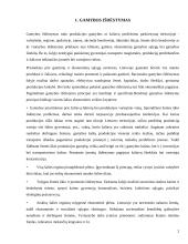 Gamyba ir pelnas 2 puslapis