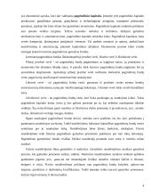 Gamyba ir pelnas 4 puslapis