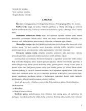 Gamyba ir pelnas 6 puslapis