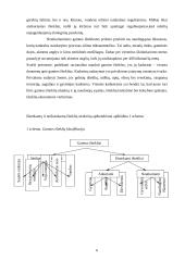 Gamtos ištekliai ir jų naudojimo problemos 6 puslapis