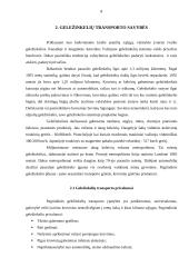 Geležinkelių transporto vystymosi raida 8 puslapis