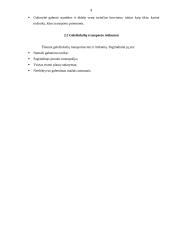 Geležinkelių transporto vystymosi raida 9 puslapis