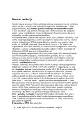 Genomas ir DNR 2 puslapis