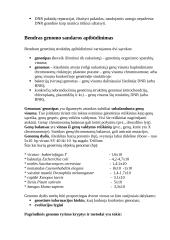 Genomas ir DNR 3 puslapis
