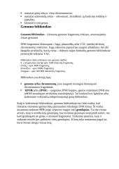 Genomas ir DNR 4 puslapis