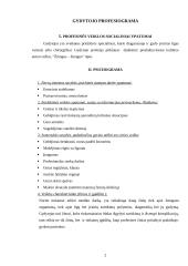 Gydytojo profesiograma 2 puslapis