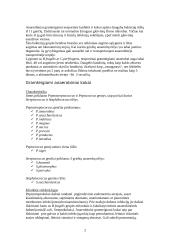 Gramteigiami anaerobiniai kokai ir lazdelės 2 puslapis