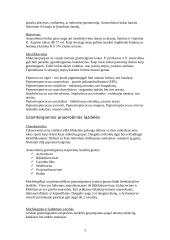 Gramteigiami anaerobiniai kokai ir lazdelės 3 puslapis