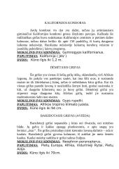 Plėšrieji paukščiai Grifai 3 puslapis