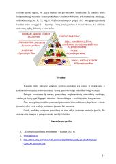 Grūdų savybės 11 puslapis