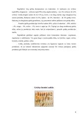 Grūdų savybės 4 puslapis