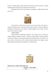 Grūdų savybės 6 puslapis