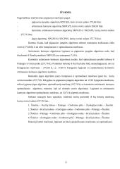 Hamiltono ciklai 13 puslapis