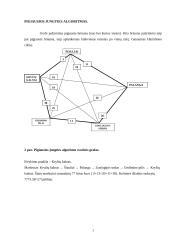 Hamiltono ciklai 3 puslapis