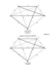 Hamiltono ciklai: UAB "Geralda" 11 puslapis