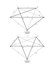 Hamiltono ciklai: UAB "Geralda" 14 puslapis