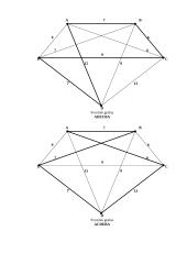Hamiltono ciklai: UAB "Geralda" 15 puslapis