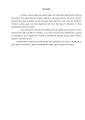 Hamiltono ciklai: UAB "Geralda" 6 puslapis