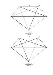 Hamiltono ciklai: UAB "Geralda" 10 puslapis