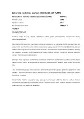 Hidraulikos siurblių patentai 3 puslapis