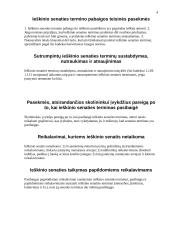 Ieškinio senaties terminai 4 puslapis