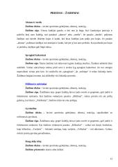 Ikimokyklinio amžiaus vaiko emocinė, psichinė, psichosocialinė raida 12 puslapis