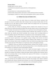 Ilgalaikio turto finansavimo parinkimas kelių transporto įmonėje ir vežimo paslaugų apmokestinimas PVM 13 puslapis