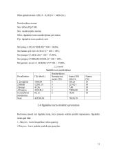 Ilgalaikio turto vertinimas ir nusidėvėjimo sumos skaičiavimas 11 puslapis