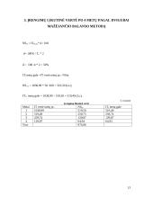 Ilgalaikio turto vertinimas ir nusidėvėjimo sumos skaičiavimas 13 puslapis