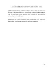 Ilgalaikio turto vertinimas ir nusidėvėjimo sumos skaičiavimas 15 puslapis