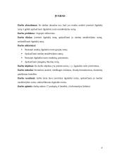 Ilgalaikio turto vertinimas ir nusidėvėjimo sumos skaičiavimas 4 puslapis