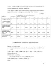 Ilgalaikio turto vertinimas ir nusidėvėjimo sumos skaičiavimas 9 puslapis